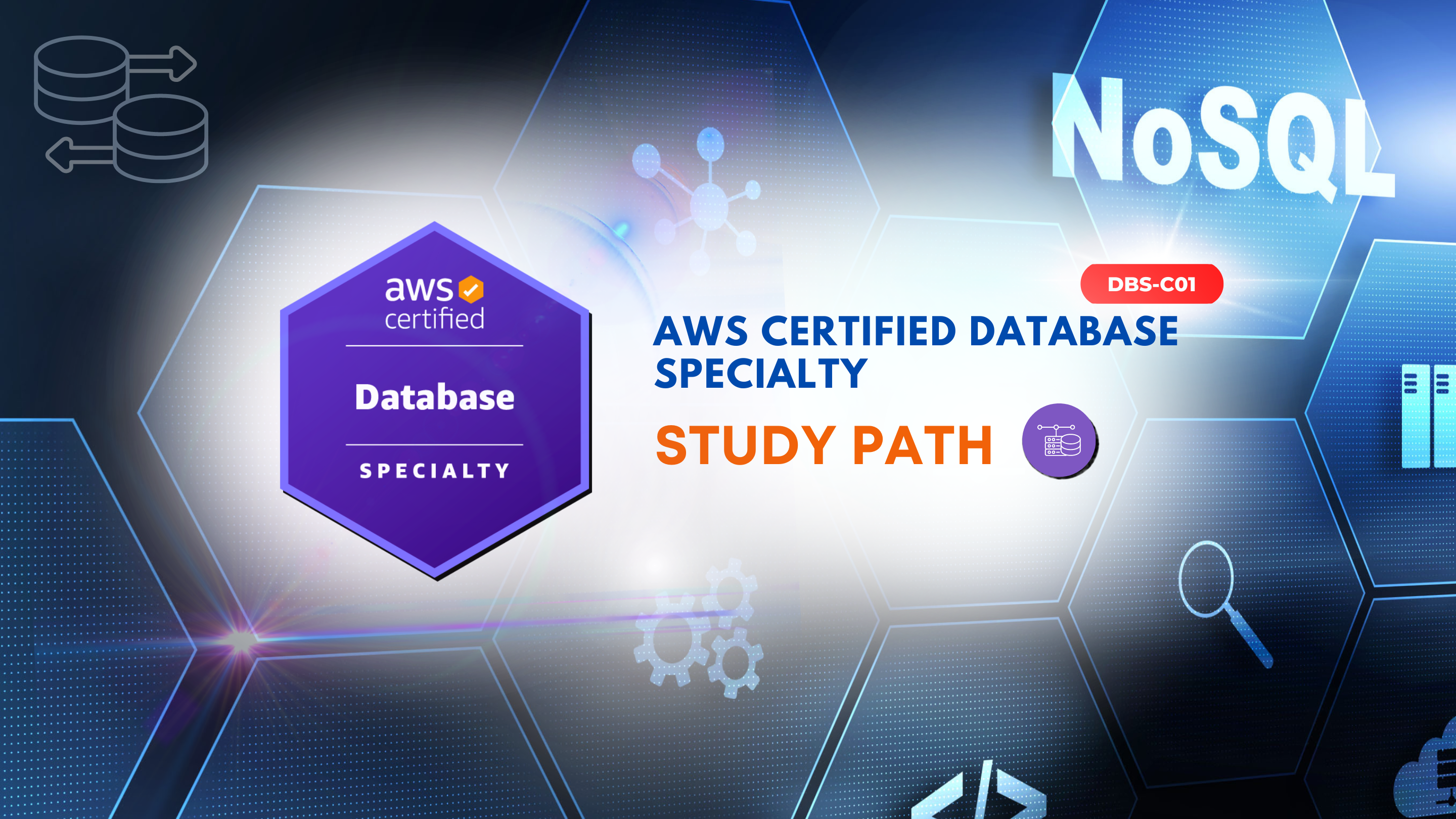 AWS Certified Database Specialty DBS-C01 DBS-C02 - Study Exam Guide