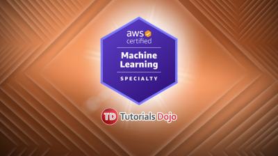 AWS Certified Machine Learning – Specialty MLS-C01 Exam Study Path Sns-Brigh10