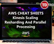 Kinesis Scaling Resharding And Parallel Processing