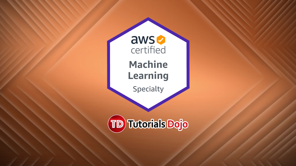 AWS Certified Machine Learning Specialty Practice Exams