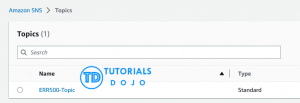 Efficient Log Monitoring: Filter CloudWatch Logs with Metric Filters and Get SNS Notifications