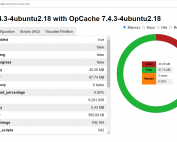 How to Install and Configure PHP OpCache with Web Viewer on Ubuntu 20.04