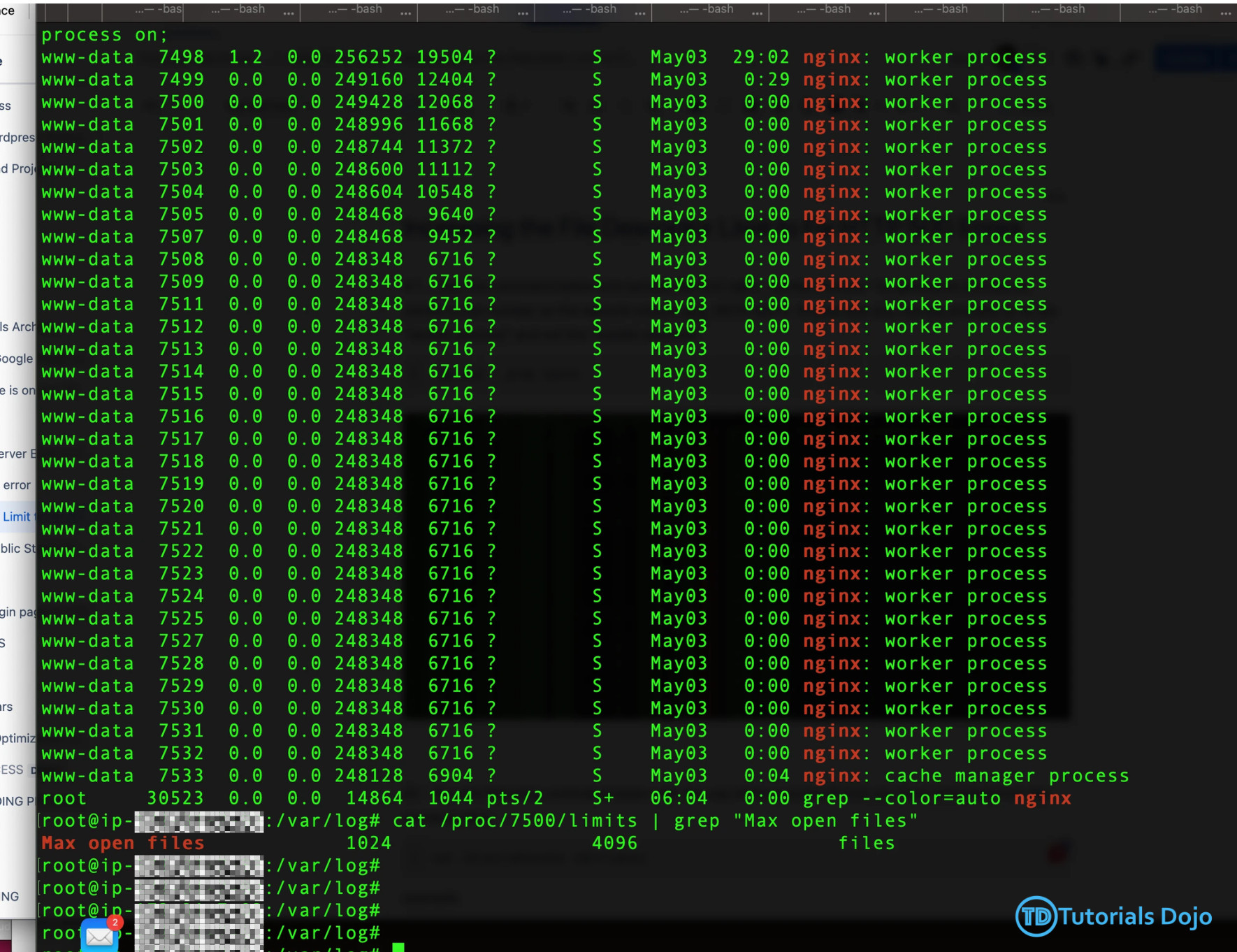 Solving HTTP 500 Errors by Managing File Descriptor Limits Image 4