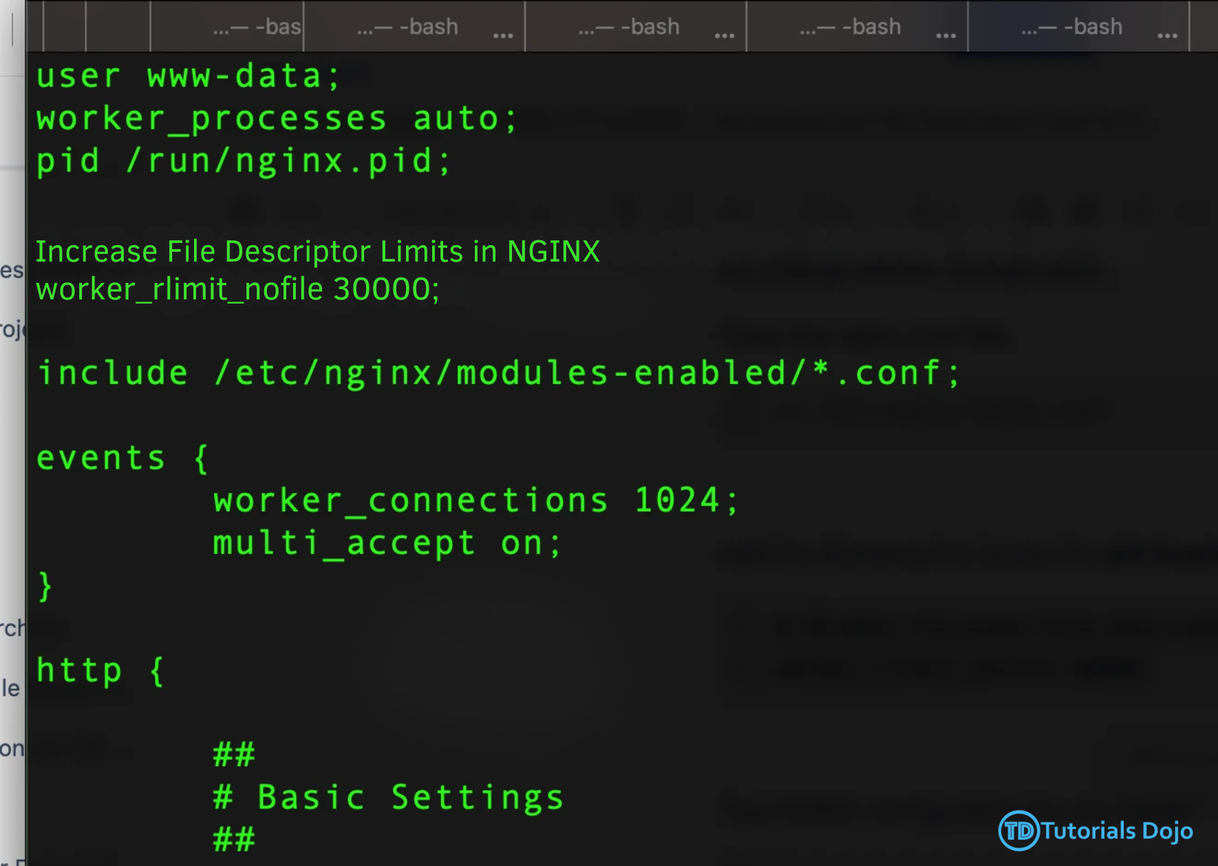 Solving HTTP 500 Errors by Managing File Descriptor Limits Image 7