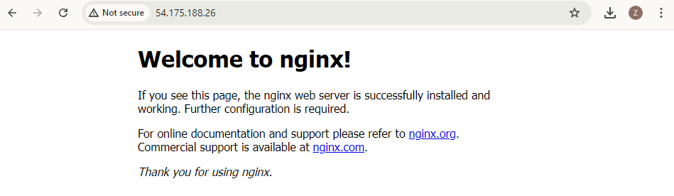 td-article-cw-agent-nginx-logs-image-2