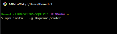 Terminal window showing command to install OpenAI Codex globally using npm
