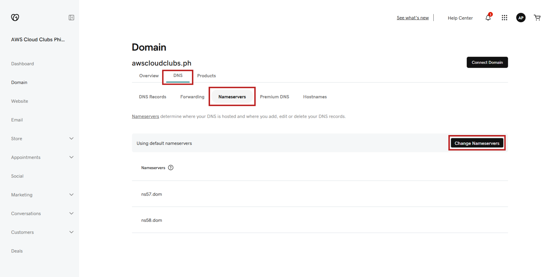 GoDaddy DNS Settings