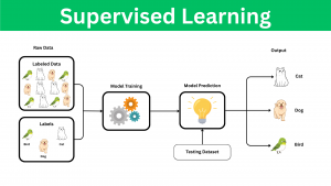 Supervised Learning Diagram. how does AI learn