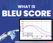 What is Bleu Score
