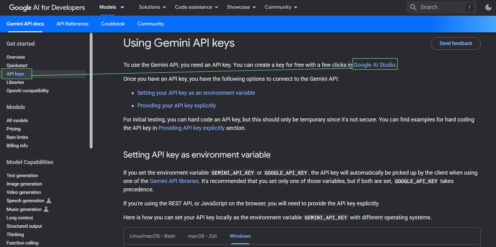 Open API Keys Section in Google Gemini API Documentation and Generate API Key in Google AI Studio