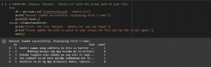 Loading the dataset