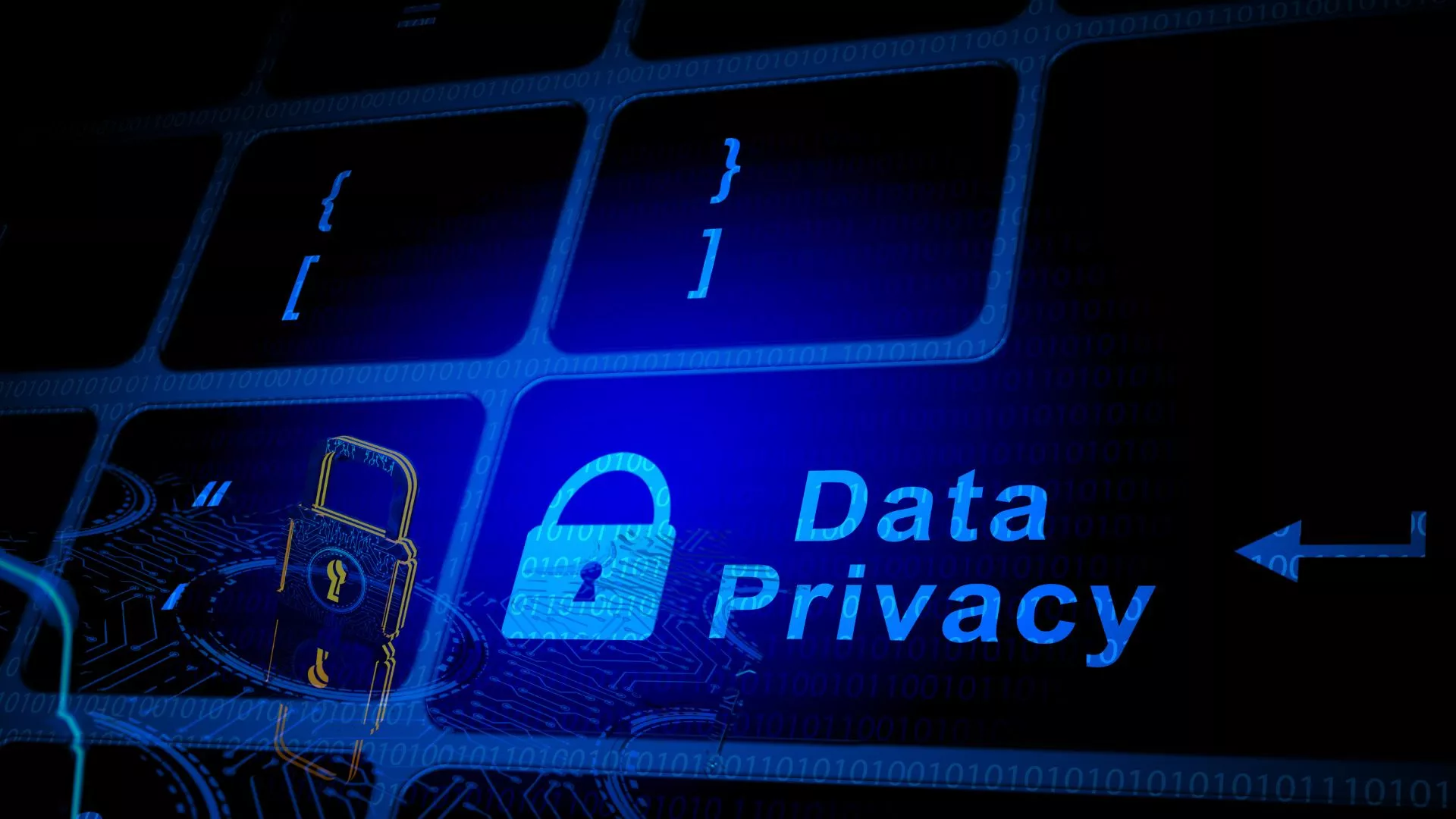 Data Privacy