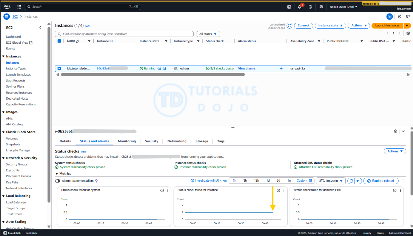 EC2 instance status check after reboot