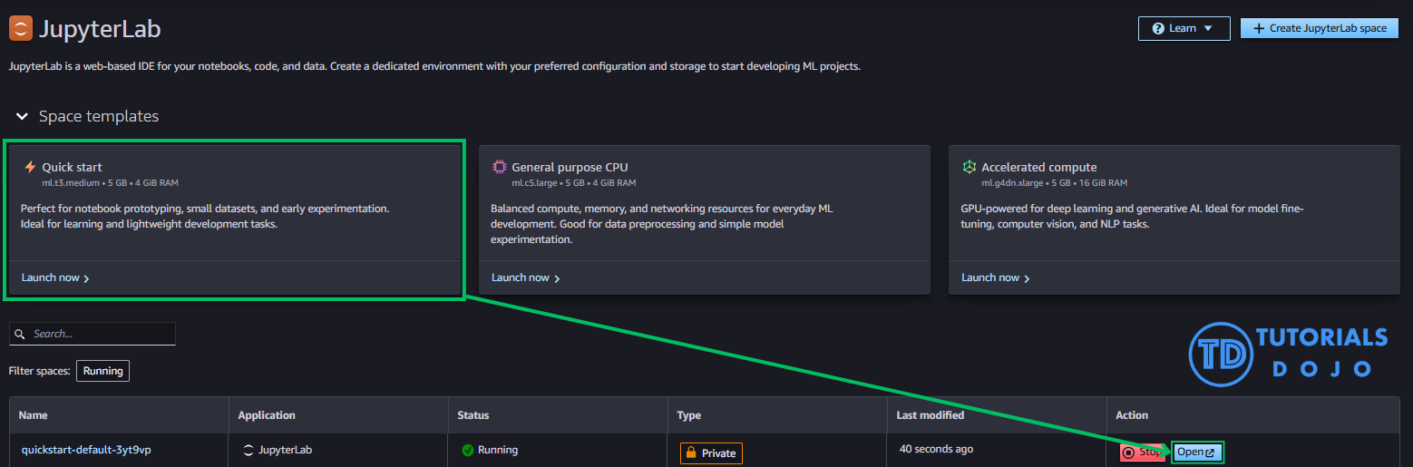 Launching a Quick start in JupyterLab