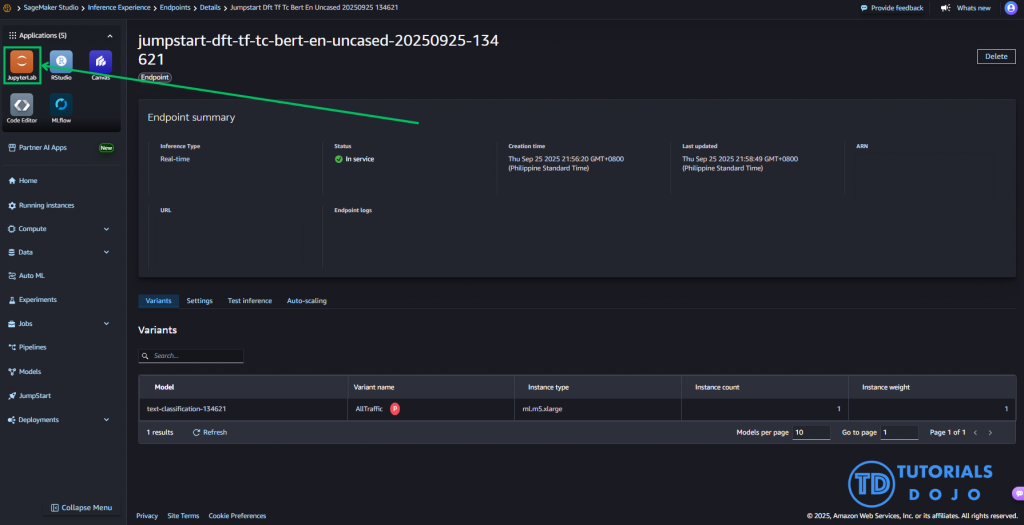From your successful endpoint deployment, navigate to the JupyterLab application