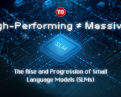 High-Performing Massive: The Rise and Progression of Small Language Models (SLMs)