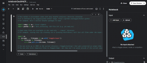 Kaggle Notebook