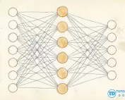 Fully connected neural network diagram