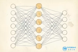 Fully connected neural network diagram