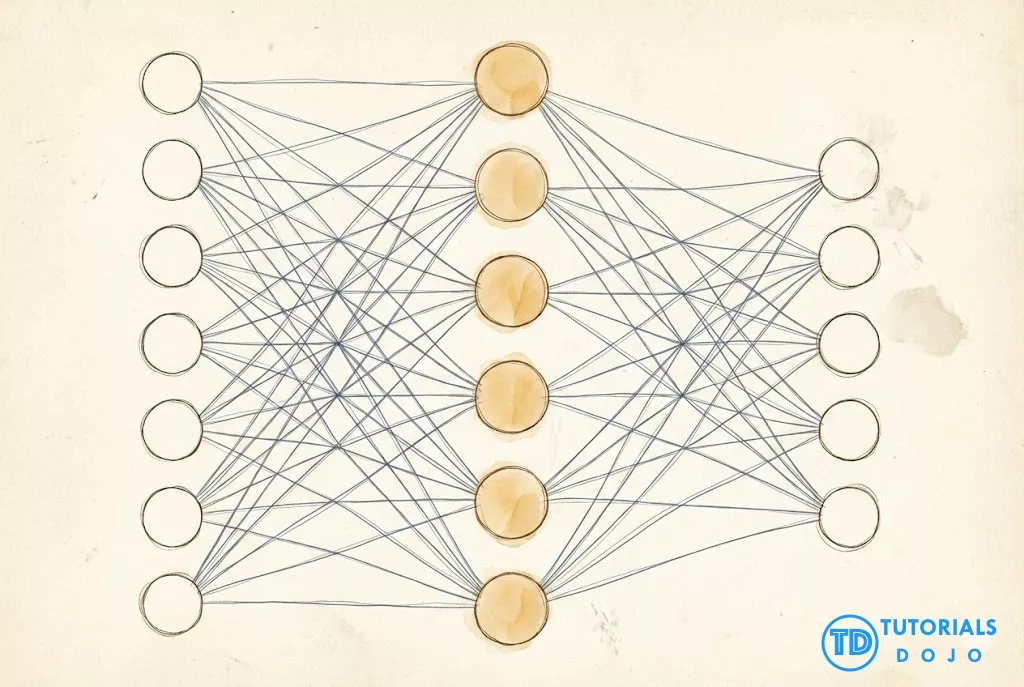 Fully connected neural network diagram