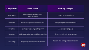 A table of comparison for all of Amazon Nova components