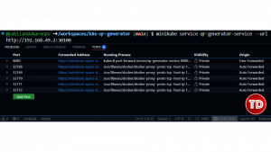 Steps to get the minikube service URL and forward port 8080 via the VS Code Ports panel.