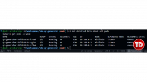 Terminal listing pods with their IP addresses, assigned node, and status columns.