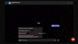 After clicking start run to terminal to paste the code