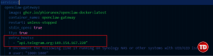 Using telegrams ipv4 inside the docker-compose yaml file