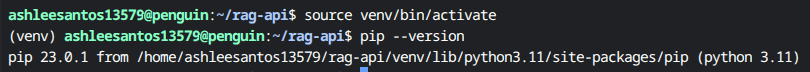 Terminal-showing-pip-version-with-venv-path