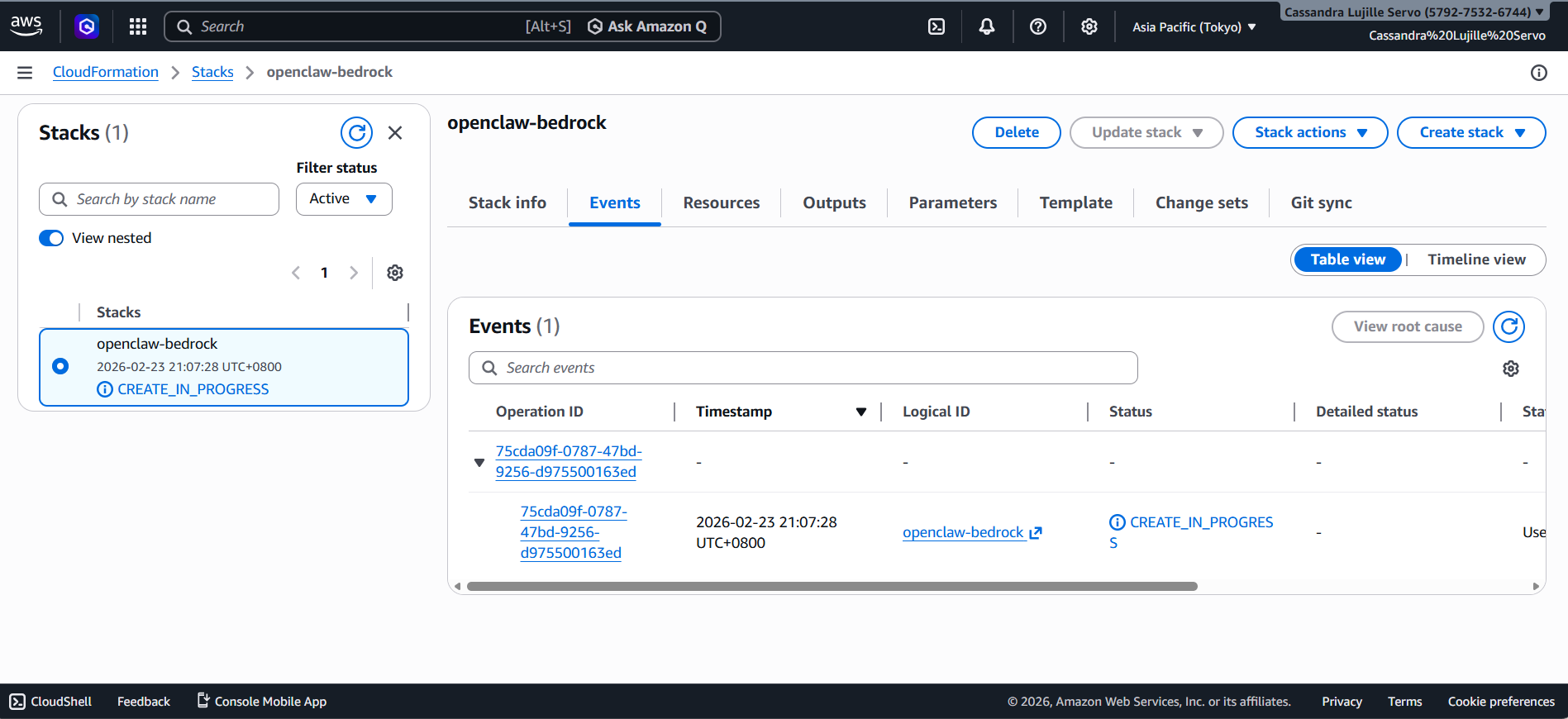openclaw amazon bedrock setup aws console part 11