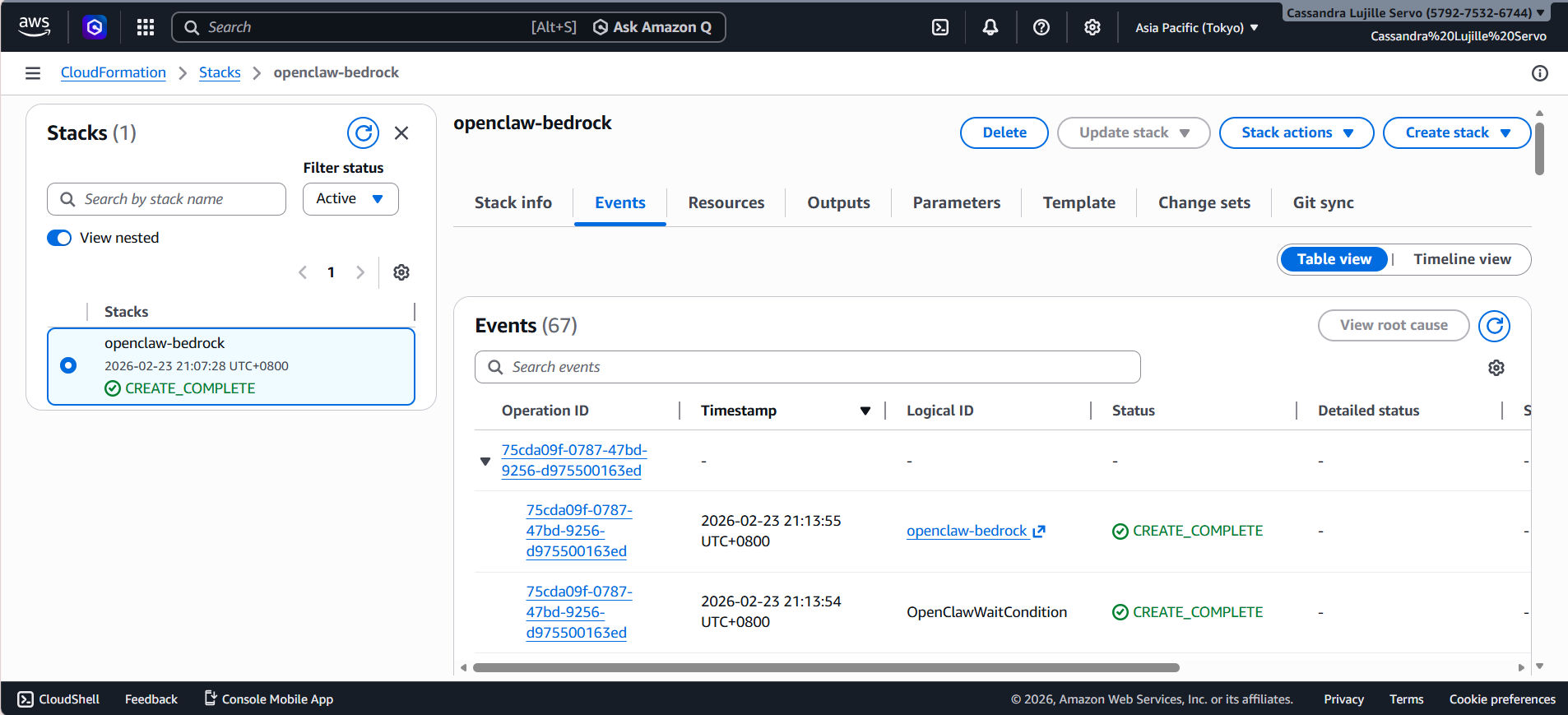 openclaw amazon bedrock setup aws console part 12
