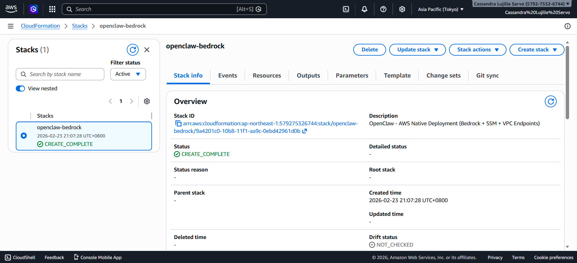 openclaw amazon bedrock setup aws console part 13
