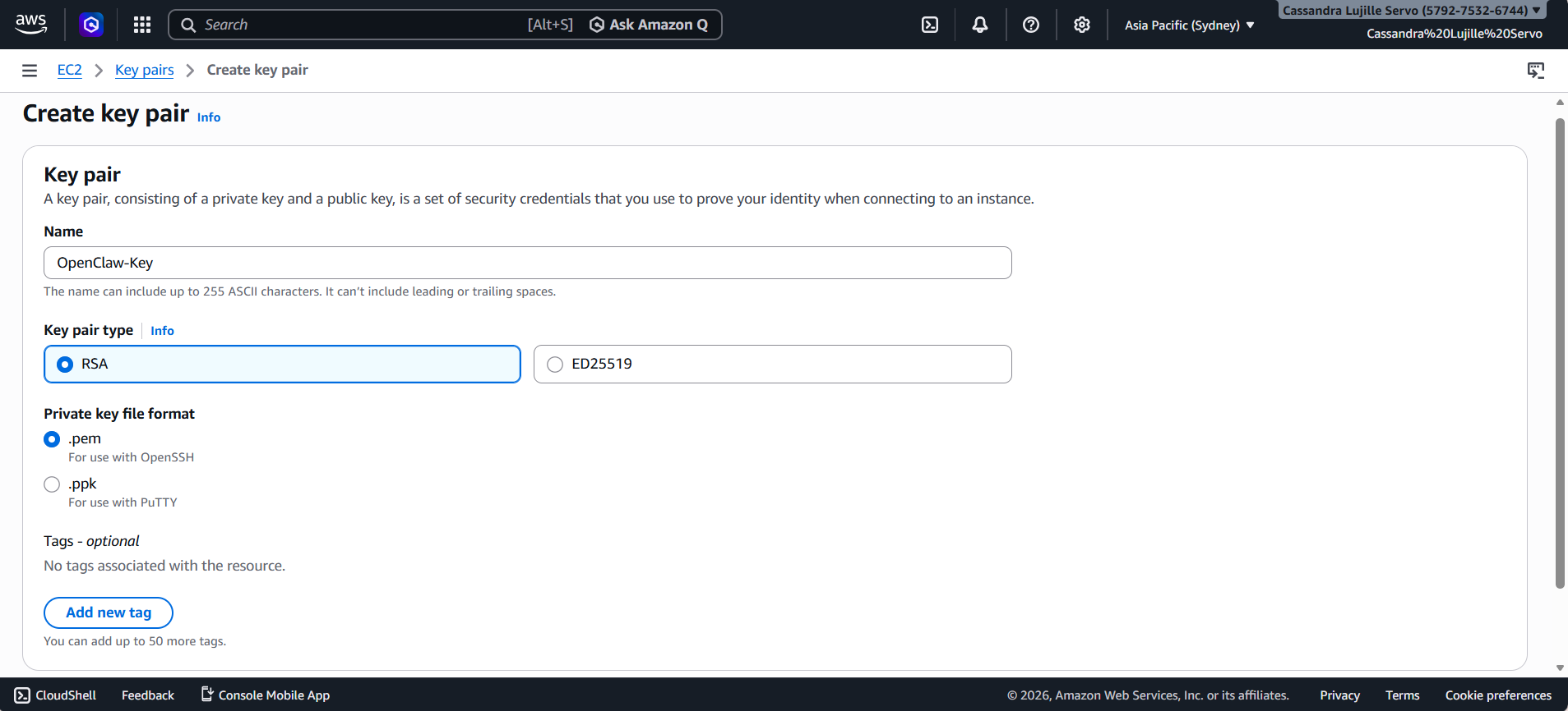 openclaw amazon bedrock setup aws console part 4