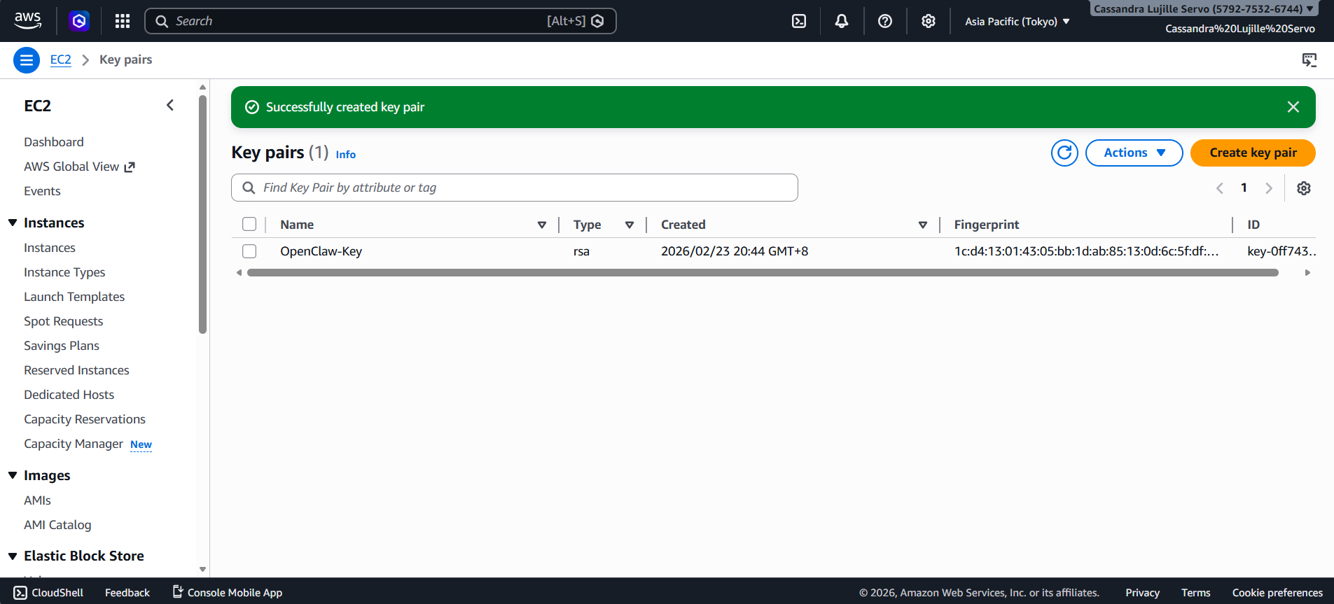 openclaw amazon bedrock setup aws console part 5
