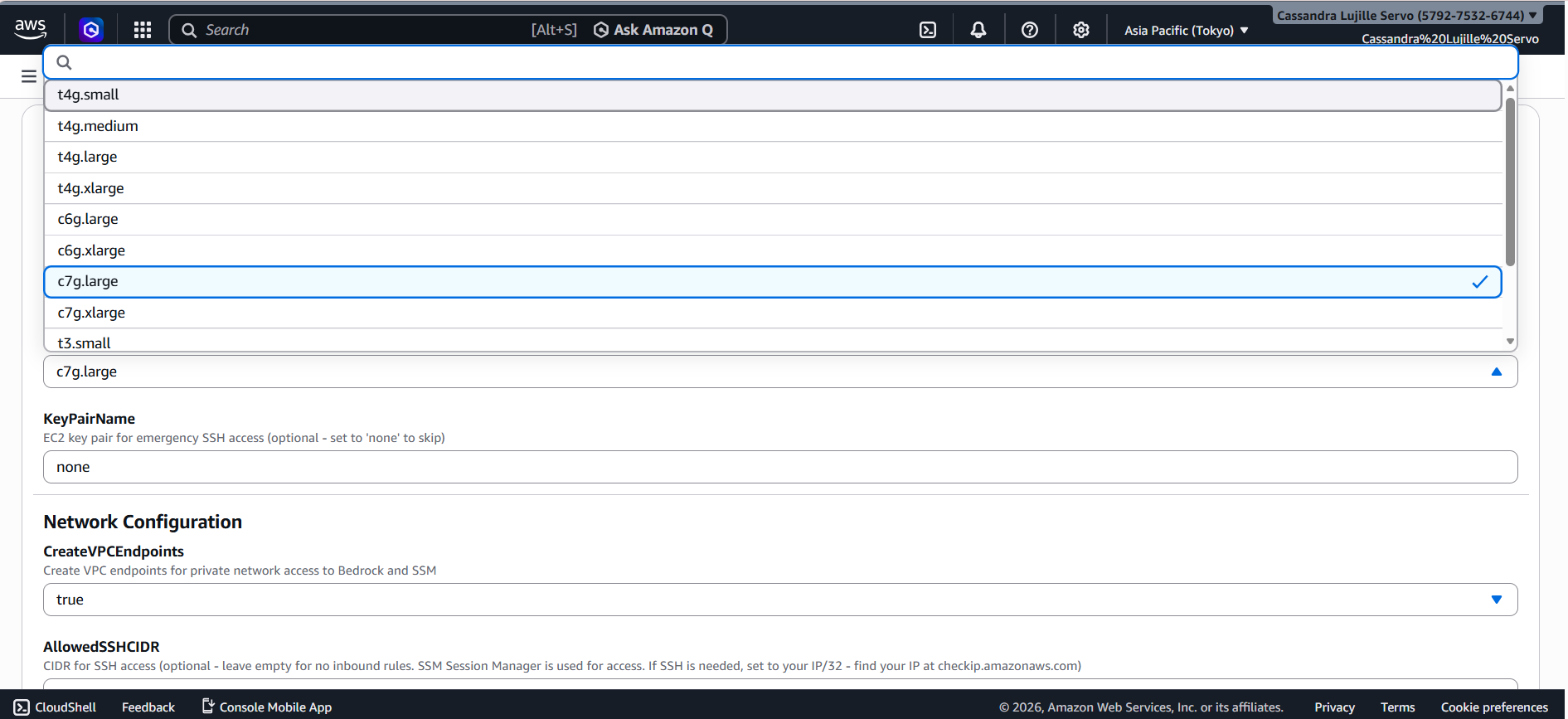 openclaw amazon bedrock setup aws console part 8