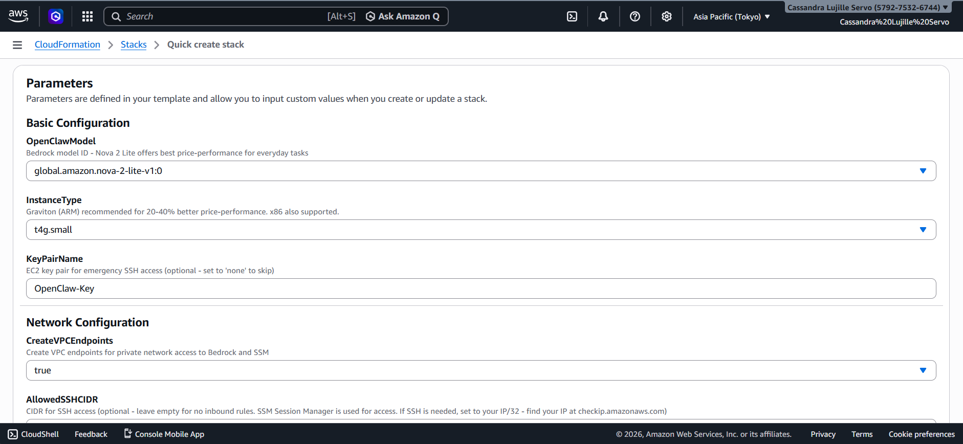 openclaw amazon bedrock setup aws console part 9